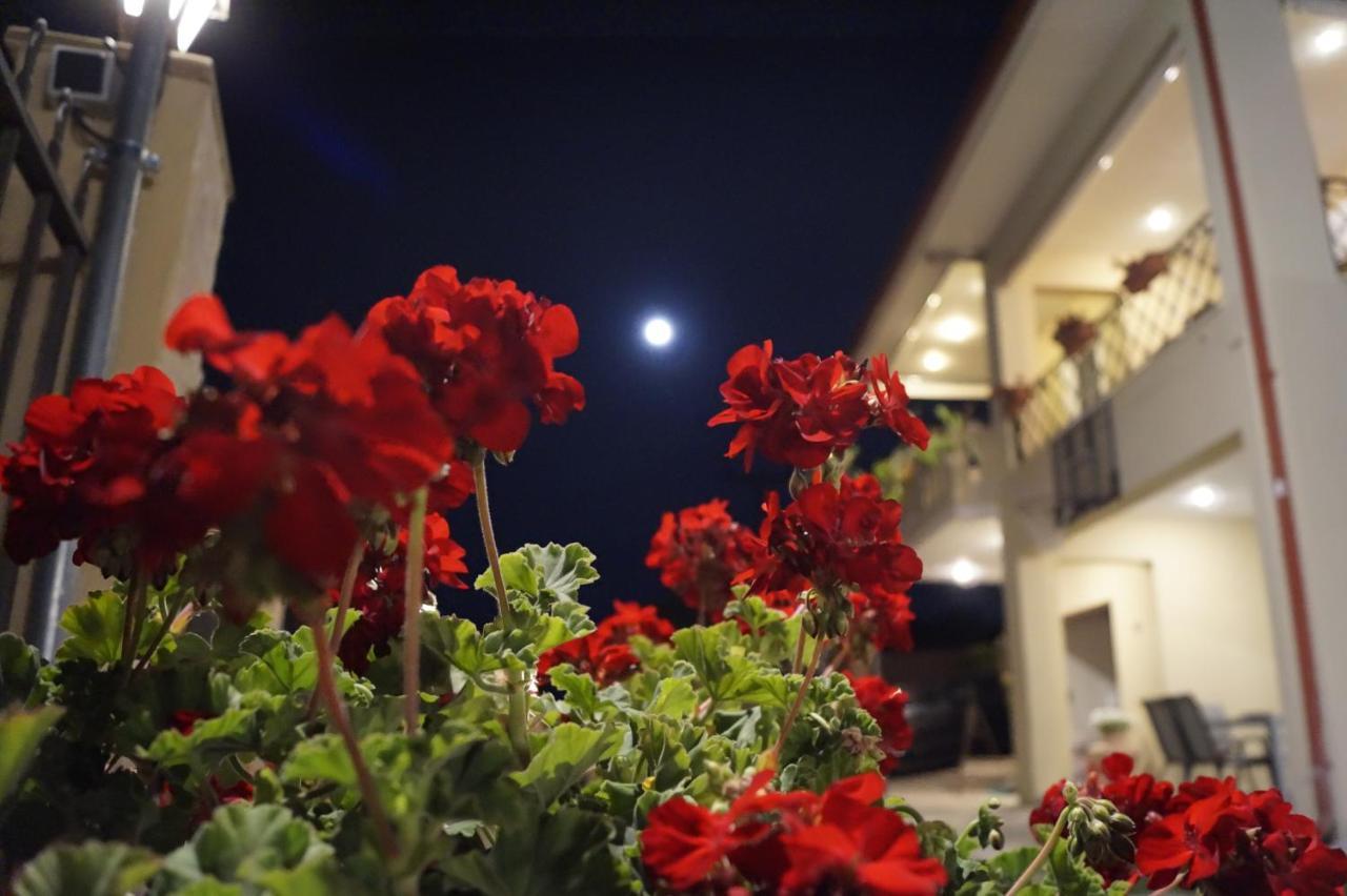 Melody Apartments อาโยส นิโกลาออส ภายนอก รูปภาพ